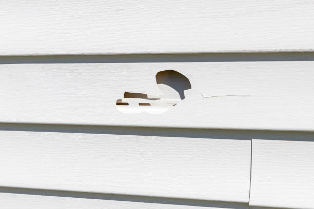 Best Appliance Removal  in Vine Grove, KY