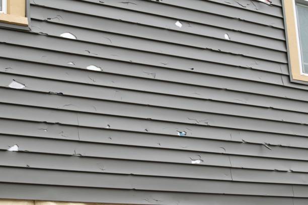 Best Recycling Services for Junk  in Vine Grove, KY