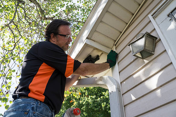 Professional Junk Removal in Vine Grove, KY